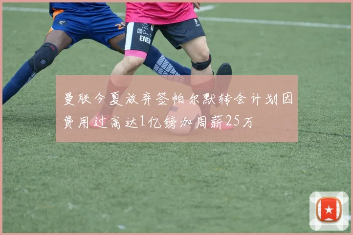 曼联今夏放弃签帕尔默转会计划因费用过高达1亿镑加周薪25万