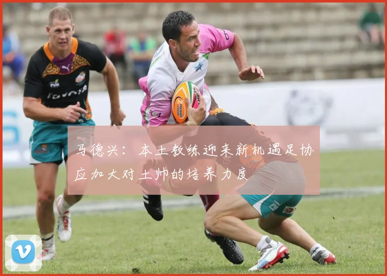 马德兴：本土教练迎来新机遇足协应加大对土帅的培养力度